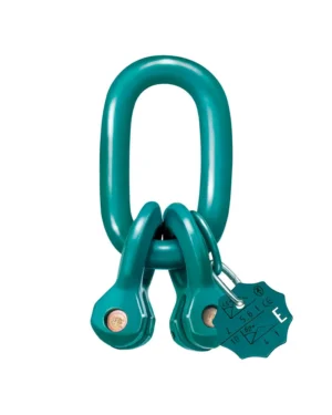 ENORM Master links with eye connector EB 2.webp