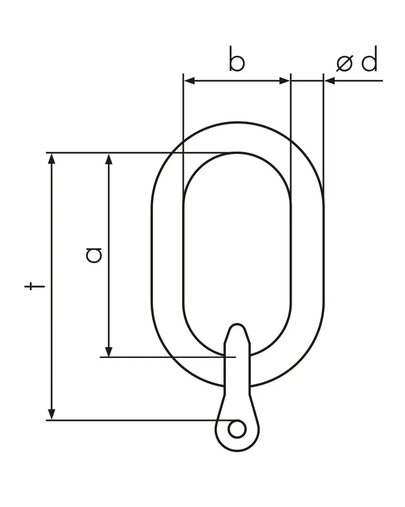 NORM8 Special master assemblies TASGV 1 with clevis connector for crane hooks up to no. 8 no. 40 EN 2.webp