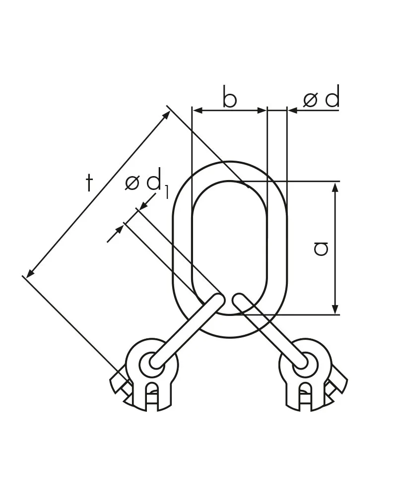 NORM8 Special master assemblies TASGV 4 with clevis connector for crane hooks up to no. 8 no. 40 EN 2.webp